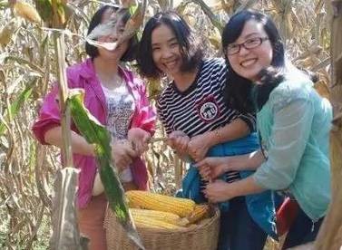 2.掰玉米人員25名，要求至少1年工作經(jīng)驗，手腕有勁手指靈活，拉呱時候能不耽誤干活，皮糙肉厚者優(yōu)先：